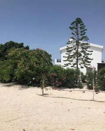 Villa Olivia, Mercan Koyu