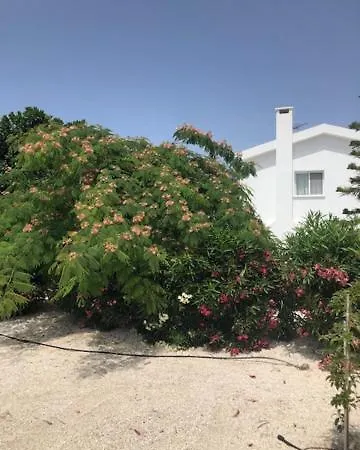 Villa Olivia, Mercan Koyu